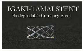 IGAKI-TAMAI STENT